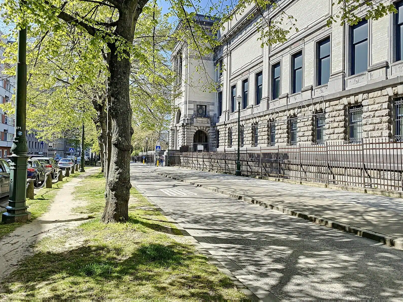 whise photo 14 Tree-lined street with a large stone building on the right and parked cars along the curb.