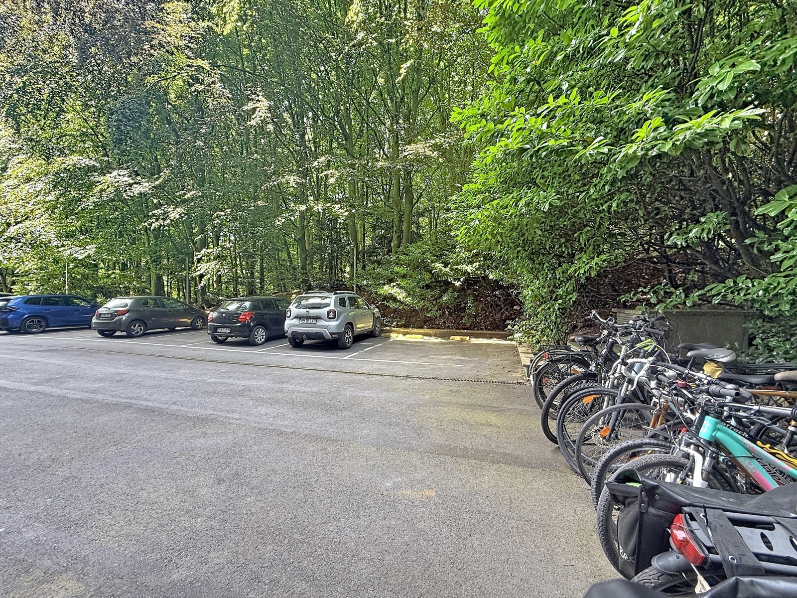 Buitenparkeerplaats met bomen en fietsen – You Real Estate Agency Buitenparkeerplaats met bomen, met auto’s en fietsen; wooncomplex vlak bij het bos.