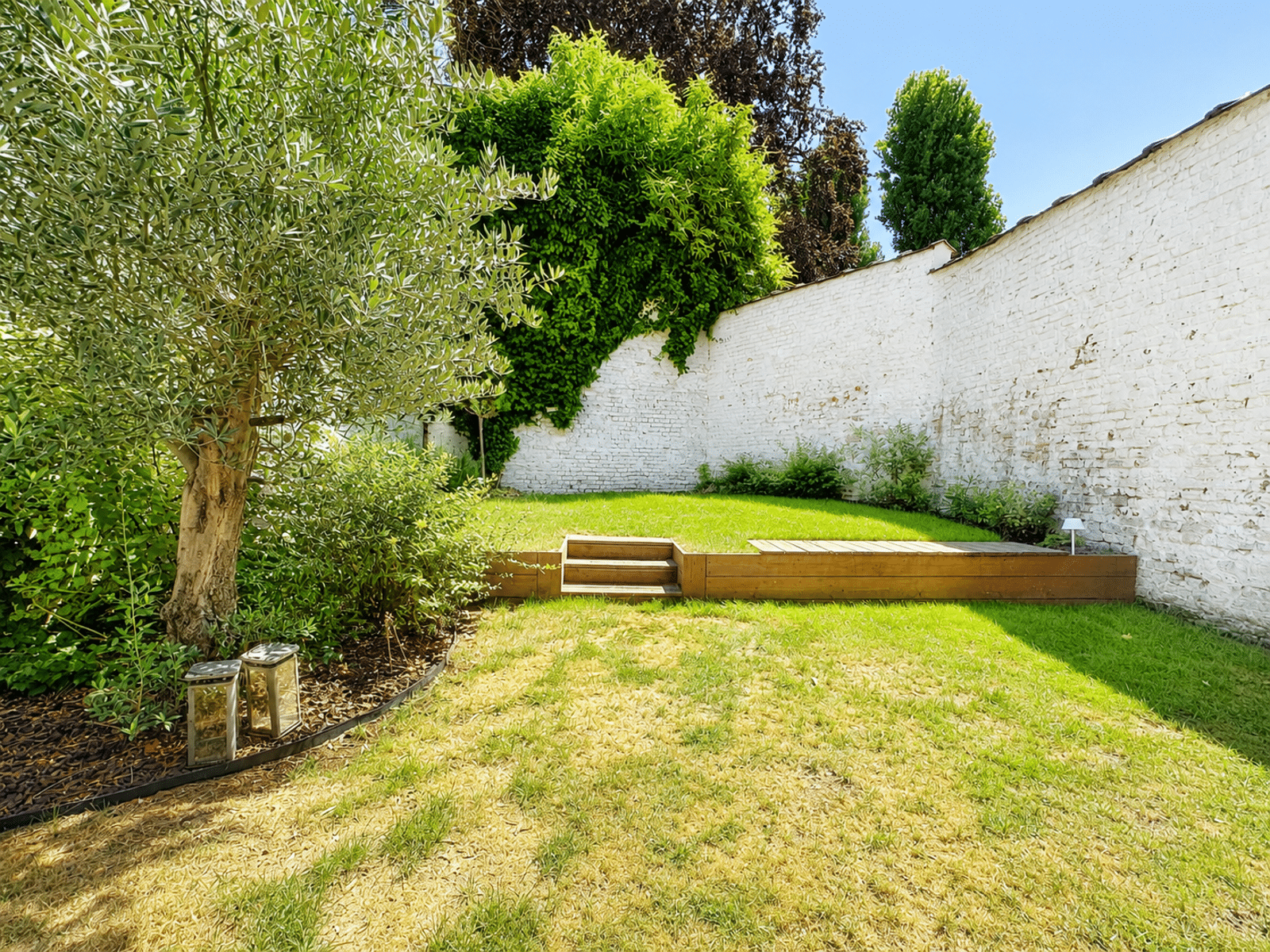 Jardin Privatif Avec Olivier – You Real Estate Agency Jardin privatif paysager avec pelouse, olivier et mur blanc pour maison.