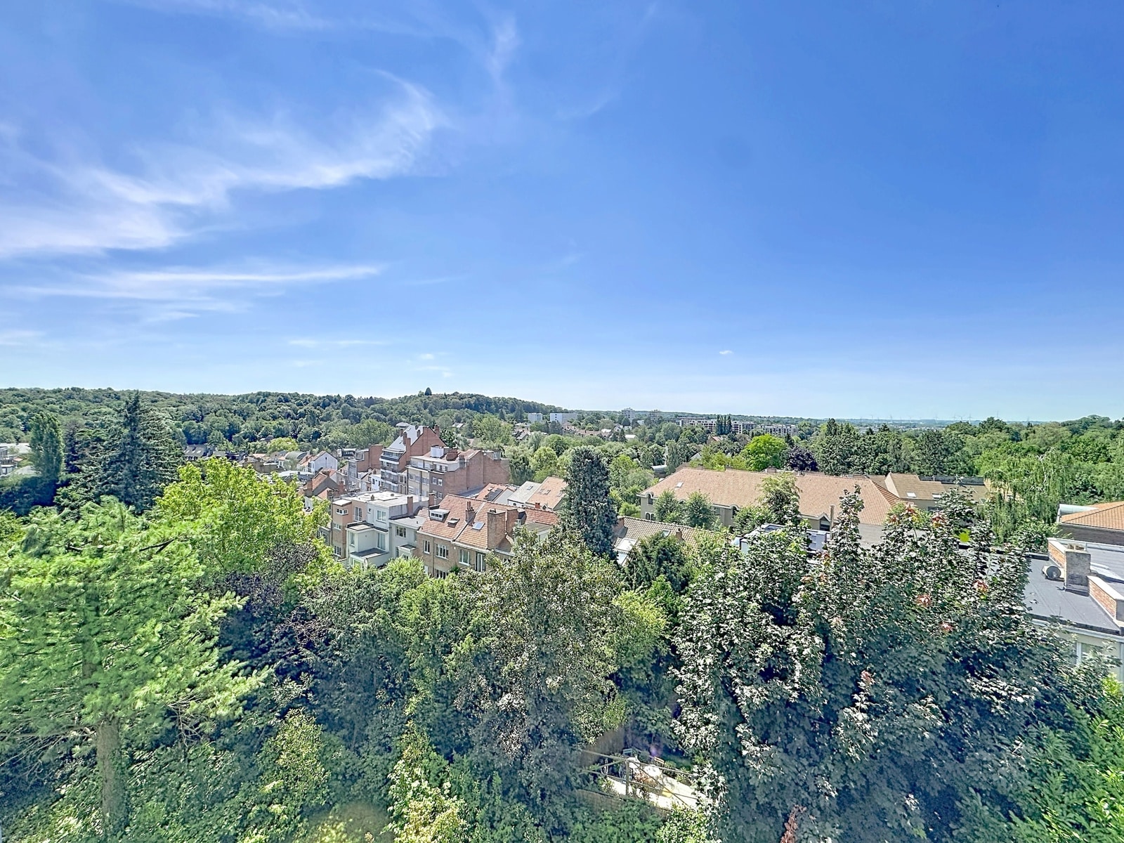 Vue Dégagée Sur Quartier Verdoyant – You Real Estate Agency Vue dégagée depuis appartement sur quartier résidentiel verdoyant et maisons aux toits rouges.