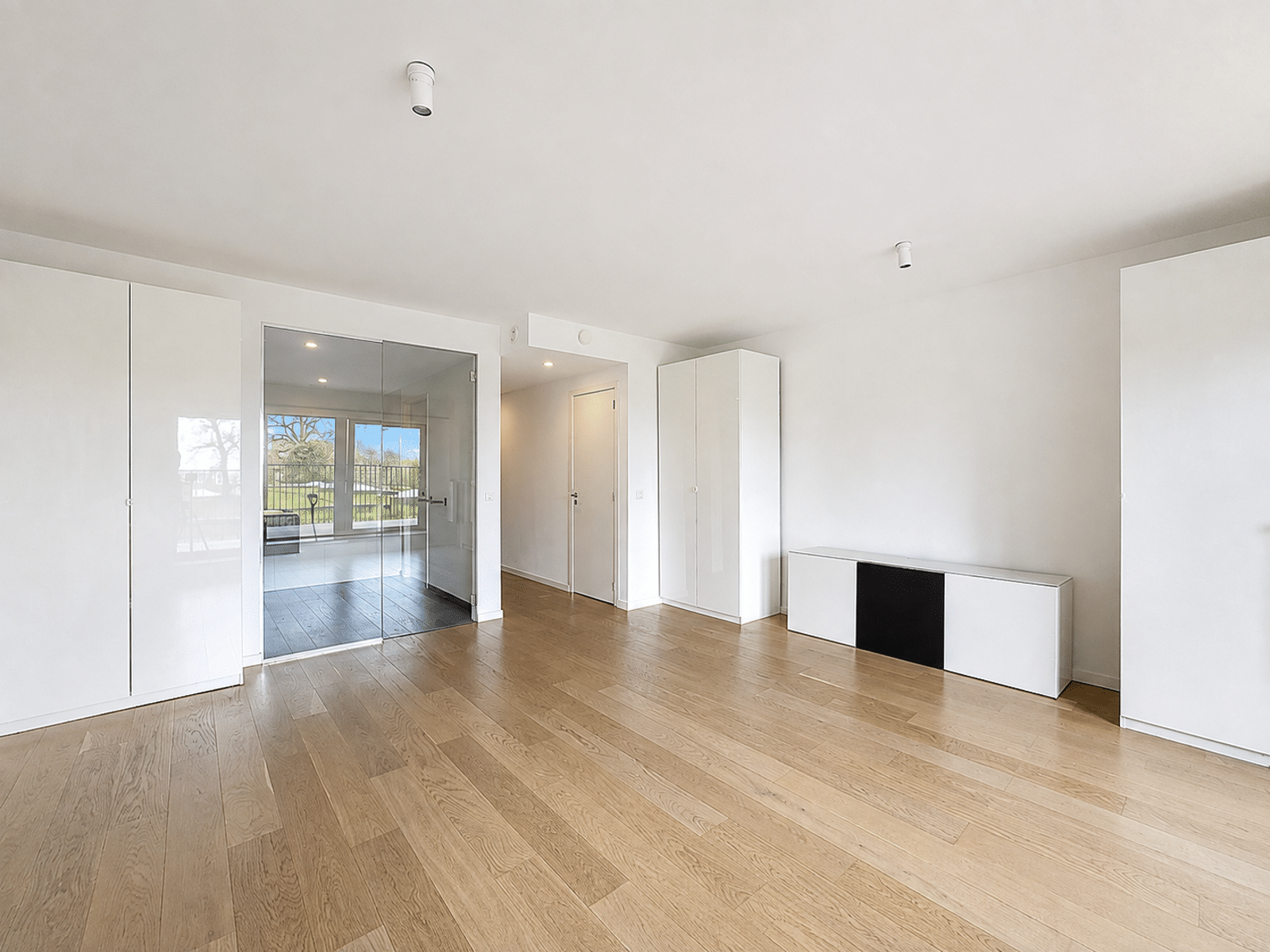 whise photo 10 Bright minimalist living room with white built-in wardrobes, a glass door, and light wood flooring.