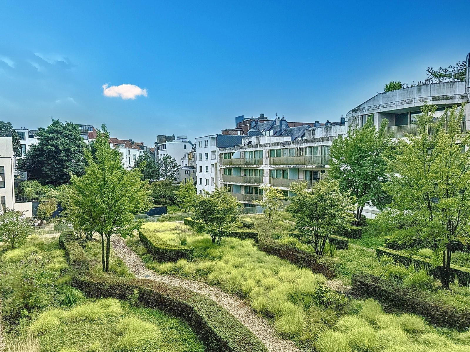 whise photo 15 Urban courtyard garden with gravel paths, trimmed hedges, and trees, surrounded by white apartment buildings under a blue sky.