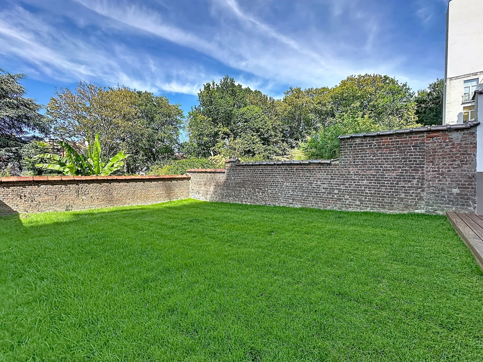 whise photo 4 A green lawn bordered by a low brick wall, with trees and a clear blue sky beyond the enclosure.