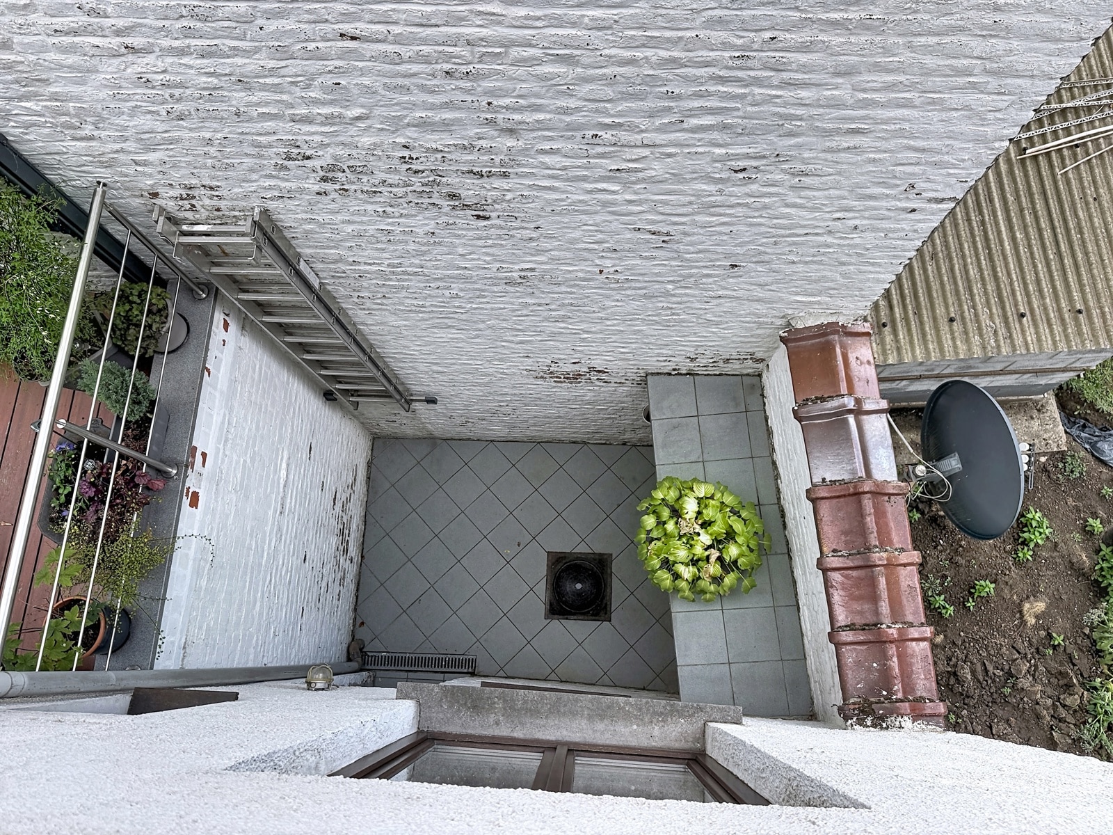 whise photo 29 Top-down view of a small outdoor courtyard with tiled floor, potted plants along the left wall, a metal ladder against the wall, and a satellite dish on the right side.
