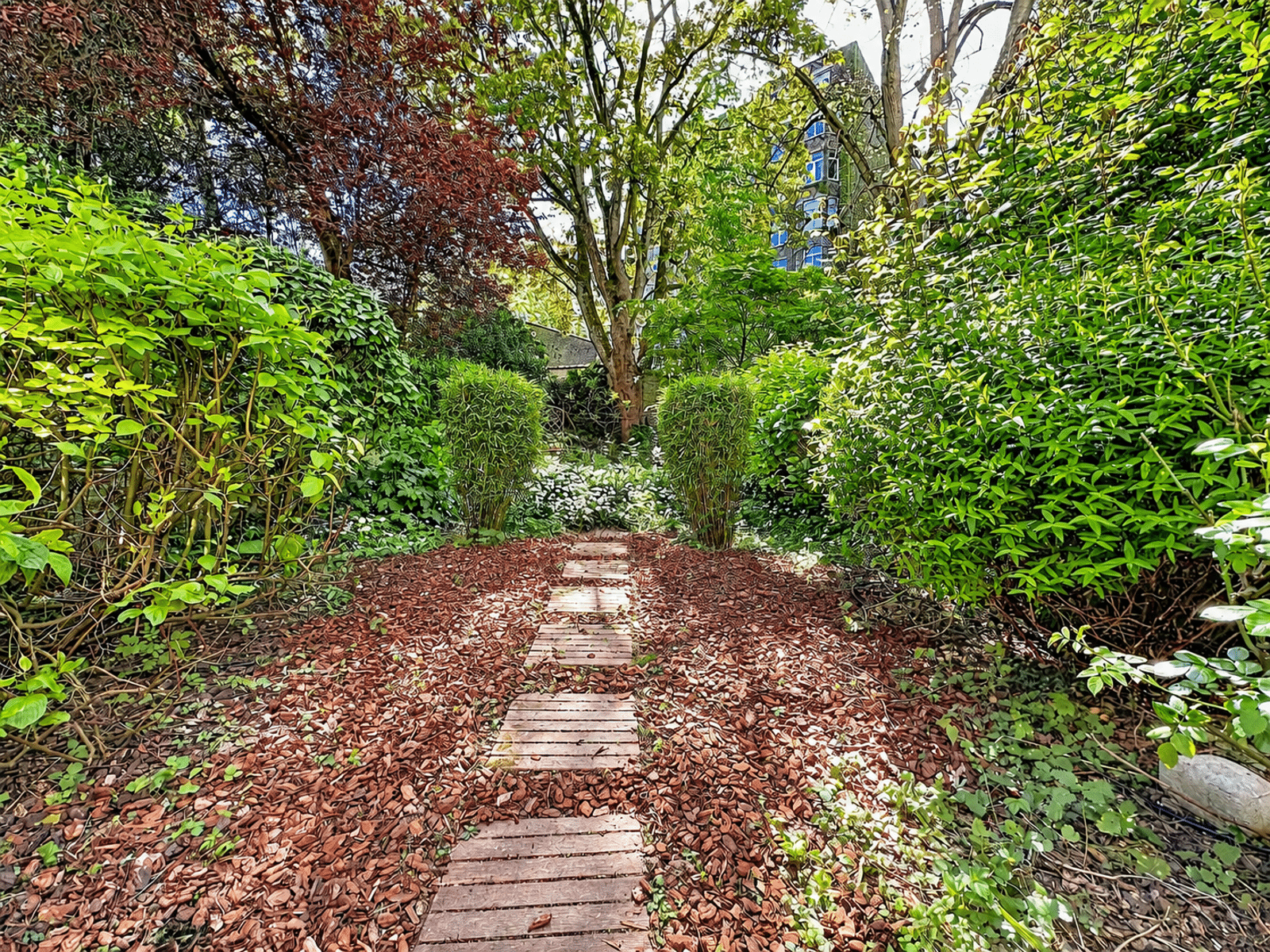 whise photo 3 Narrow wooden stepping-stone path through a lush garden with green hedges and brown fallen leaves on the ground.