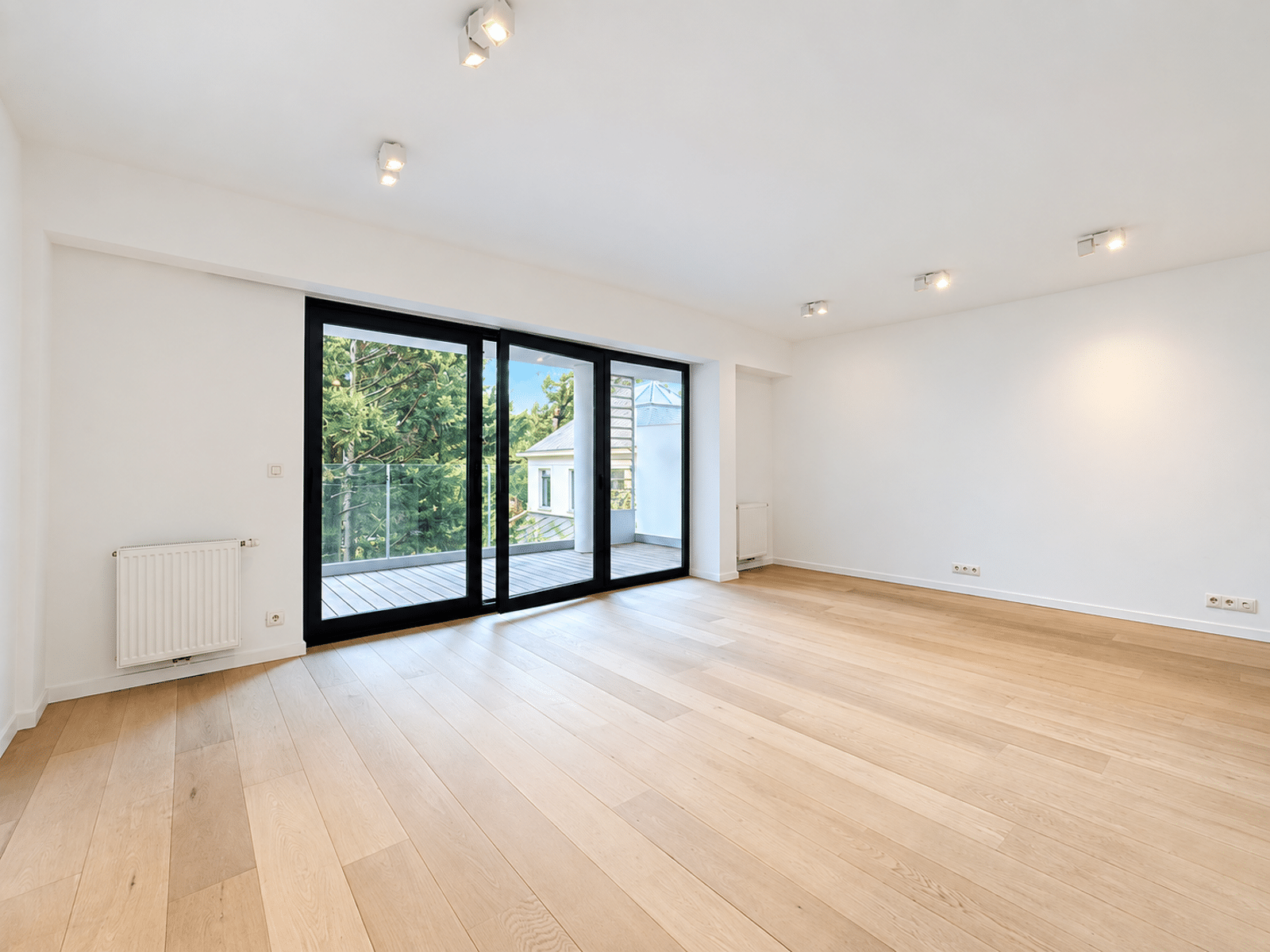 whise photo 3 Bright empty living room with large black-framed sliding glass doors opening to a balcony.
