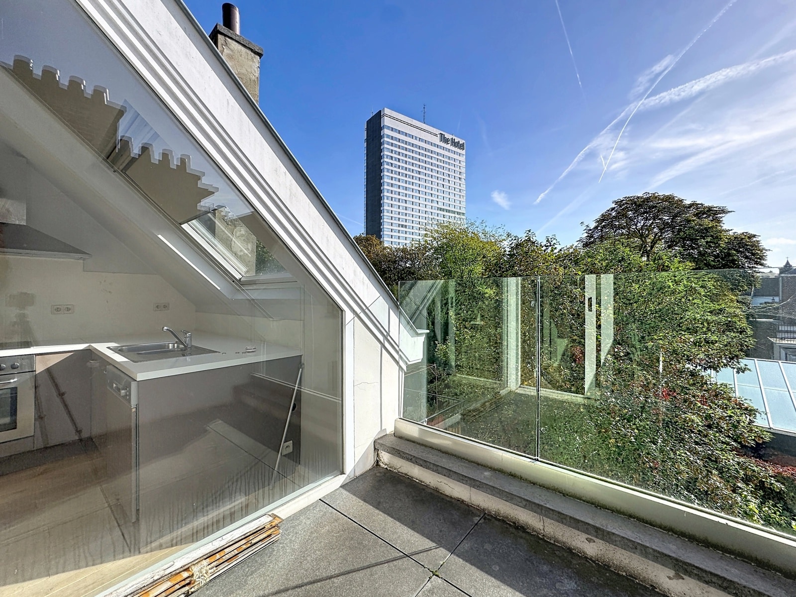 whise photo 7 Rooftop terrace with glass railing and a visible kitchen inside, overlooking a city skyline under a bright blue sky.